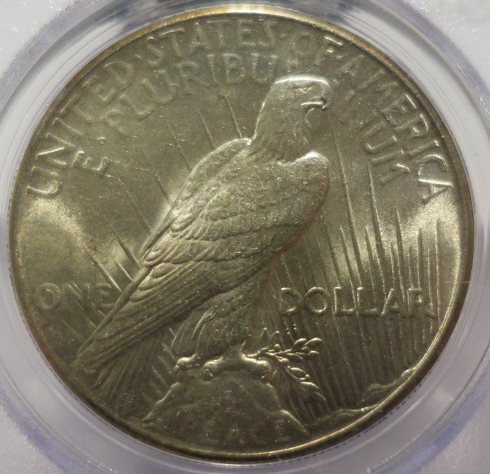 1925-Peace-Dollar:-You-Vs-PCGS